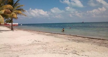 Peaceful & Confortable Oceanfront Studio