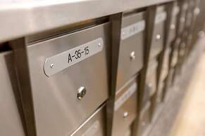 Rex Ollie at The Elements Ampang