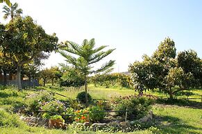 1035 Villa el Crucero