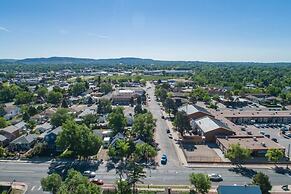 Craft Brewery Perfection! Charming & Dog-friendly