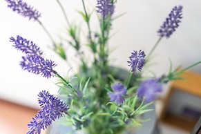 Victus Apartamenty - Cadena 1