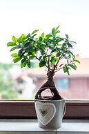 Victus Apartamenty - Cadena 1