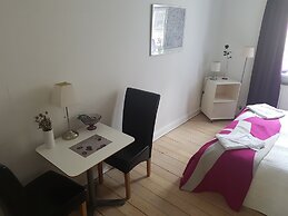 Classic Copenhagen City Apartment