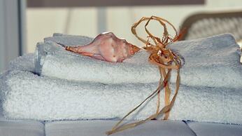 Flora's Houses Mykonos