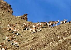 TIH Namra Village Hotel - Temisgam