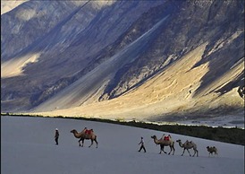 TIH Desert Oasis Camp - Hunder