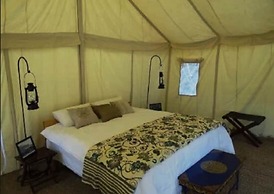 TIH Desert Oasis Camp - Hunder