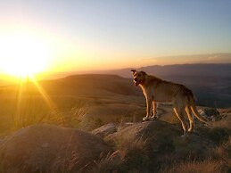 Magical Teepee Experience Hogsback - Glamping