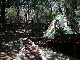 Magical Teepee Experience Hogsback - Glamping