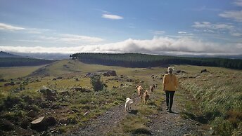 Magical Teepee Experience Hogsback - Glamping