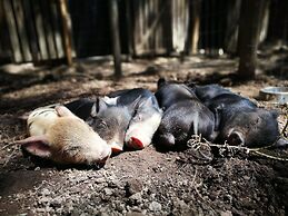 Magical Teepee Experience Hogsback - Glamping