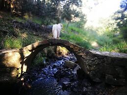 Magical Teepee Experience Hogsback - Glamping