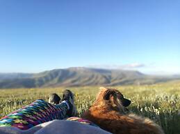 Magical Teepee Experience Hogsback - Glamping