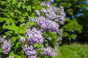 Saka Cliff Hotel & SPA