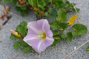 Pod Beag Beside the Sea, Isle of Eriskay