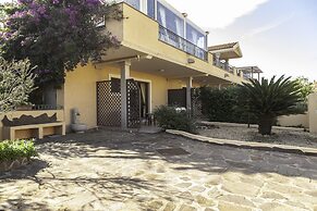 Aria Di Vacanza - Mirtillo COD 9