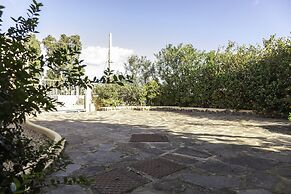 Aria Di Vacanza - Mirtillo COD 9