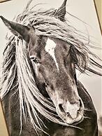 Peak Valley Manor, a Modern Farmhouse