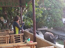 Hang Mua Central Homestay