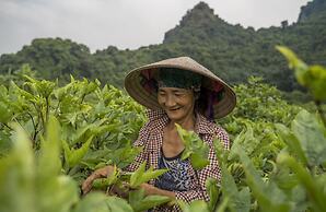 Heritage Line Ylang Cruise – Ha Long Bay & Lan Ha Bay