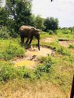 Wildlife Safari House