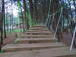 Viña Real Cabañas Rotamundos