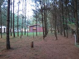 Viña Real Cabañas Rotamundos