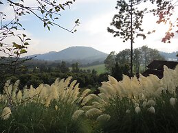 Viña Real Cabañas Rotamundos