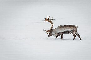 By the Sea  Luxury Villa