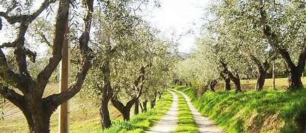 Agriturismo Terrasabina