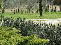 Agriturismo Terrasabina