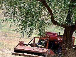Agriturismo Terrasabina