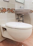 Treebo Trip Aarush Inn