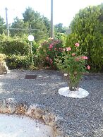 Il Tulipano Verde B&B