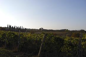 Tenuta S. Agnese