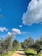 Tenuta Agricola Fraschiera