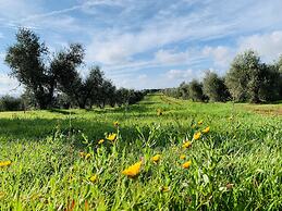 Tenuta Agricola Fraschiera