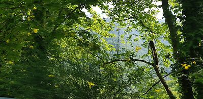 Beautiful Tranquil Stone Cottage