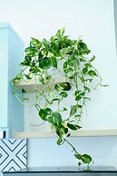 Stay In Nha Trang Apartments