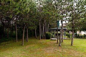 Summertime Family Resort