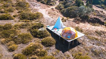 Bajo el Cielo Glamping