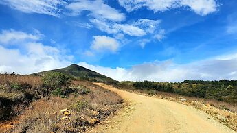 Bajo el Cielo Glamping