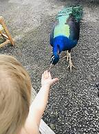 Gratton Grange Farm B&B