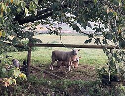 Gratton Grange Farm B&B