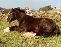 Gratton Grange Farm B&B