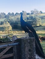 Gratton Grange Farm B&B