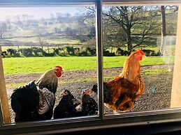 Gratton Grange Farm B&B