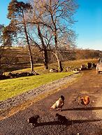 Gratton Grange Farm B&B