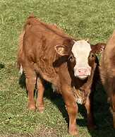 Gratton Grange Farm B&B