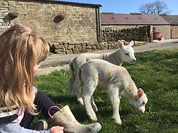 Gratton Grange Farm B&B